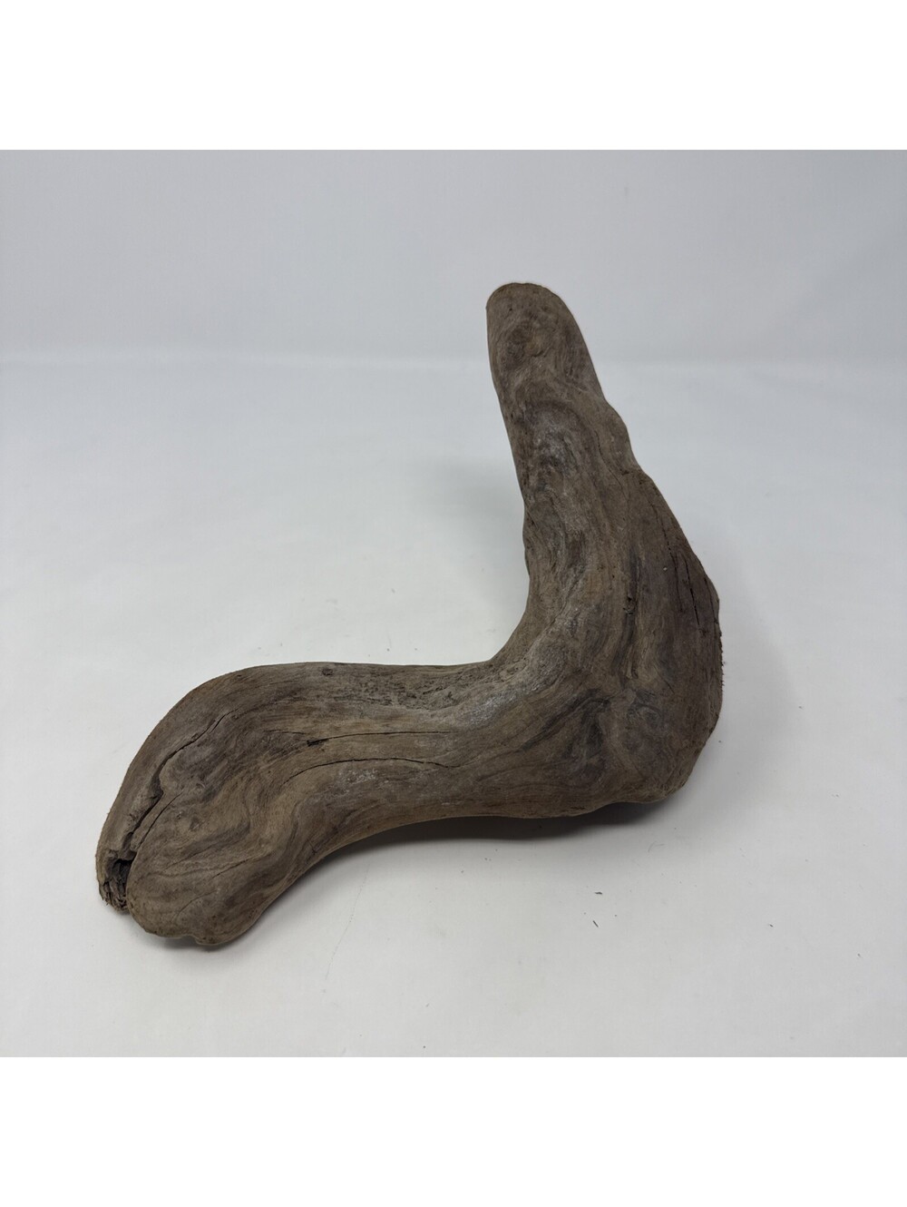 Natural Driftwood 8x7” Reptile Terrarium, Crafts, Landscapes, Decor